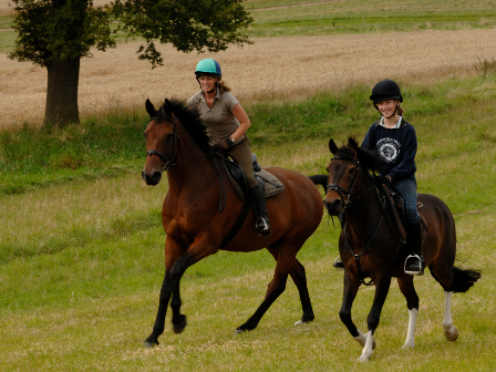 Horses and Spa 